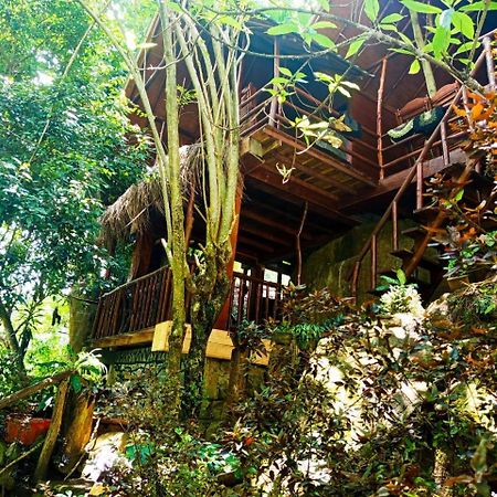 Jungle Face Inn Ella Exterior photo