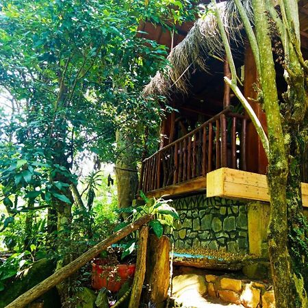 Jungle Face Inn Ella Exterior photo