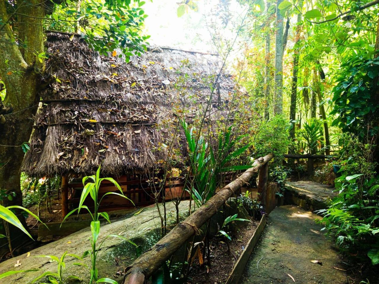 Jungle Face Inn Ella Exterior photo