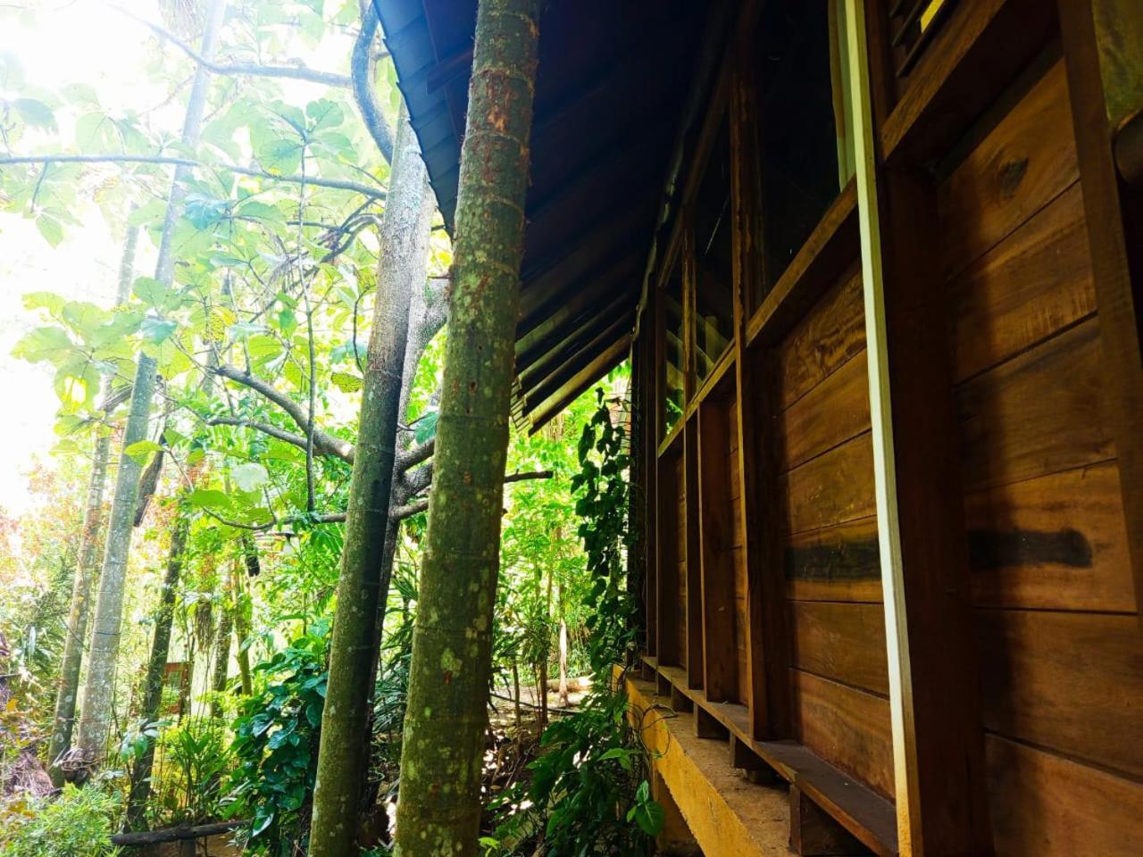Jungle Face Inn Ella Exterior photo